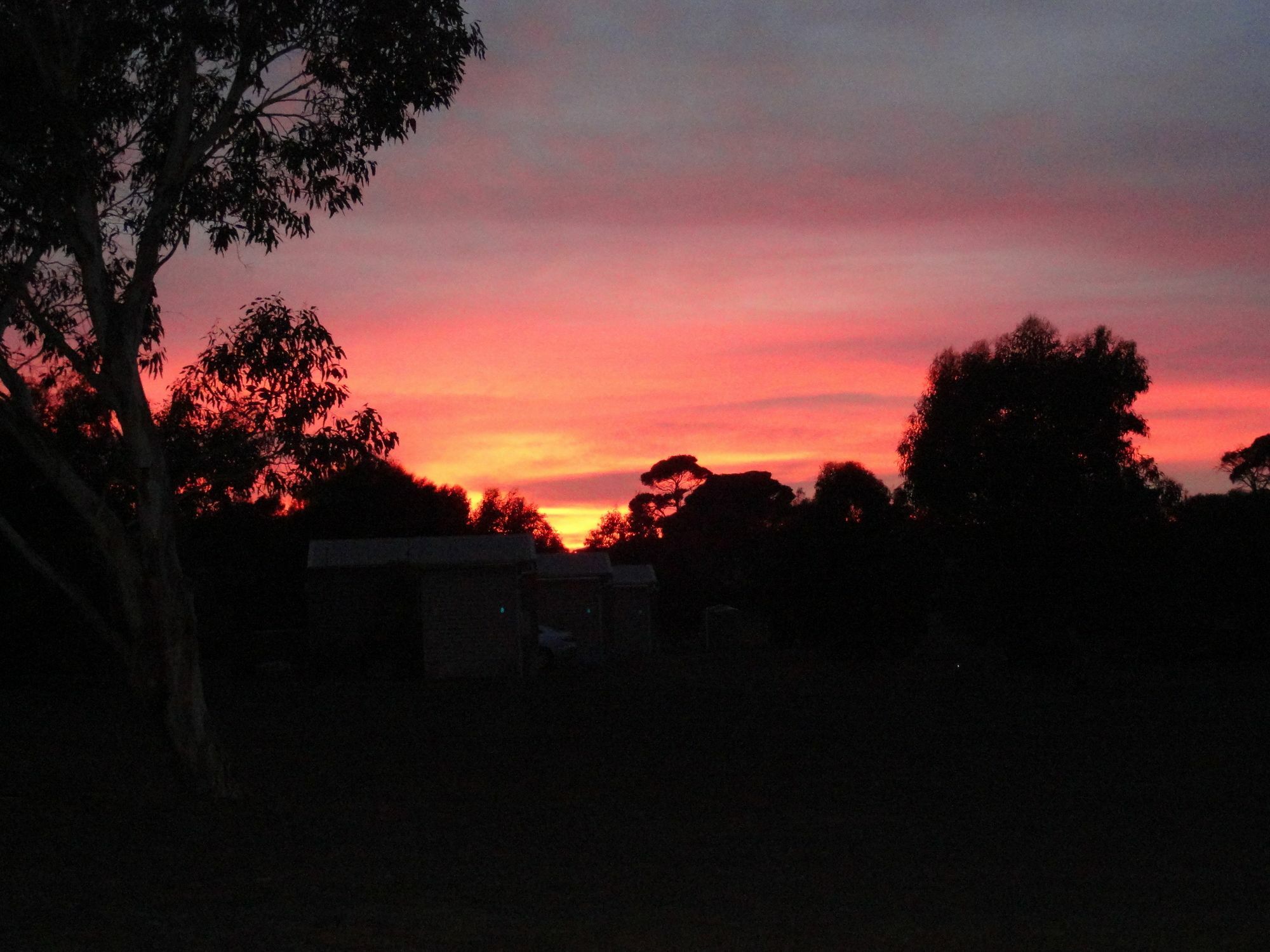 Kangaroo Island Cabins Kingscote Bagian luar foto