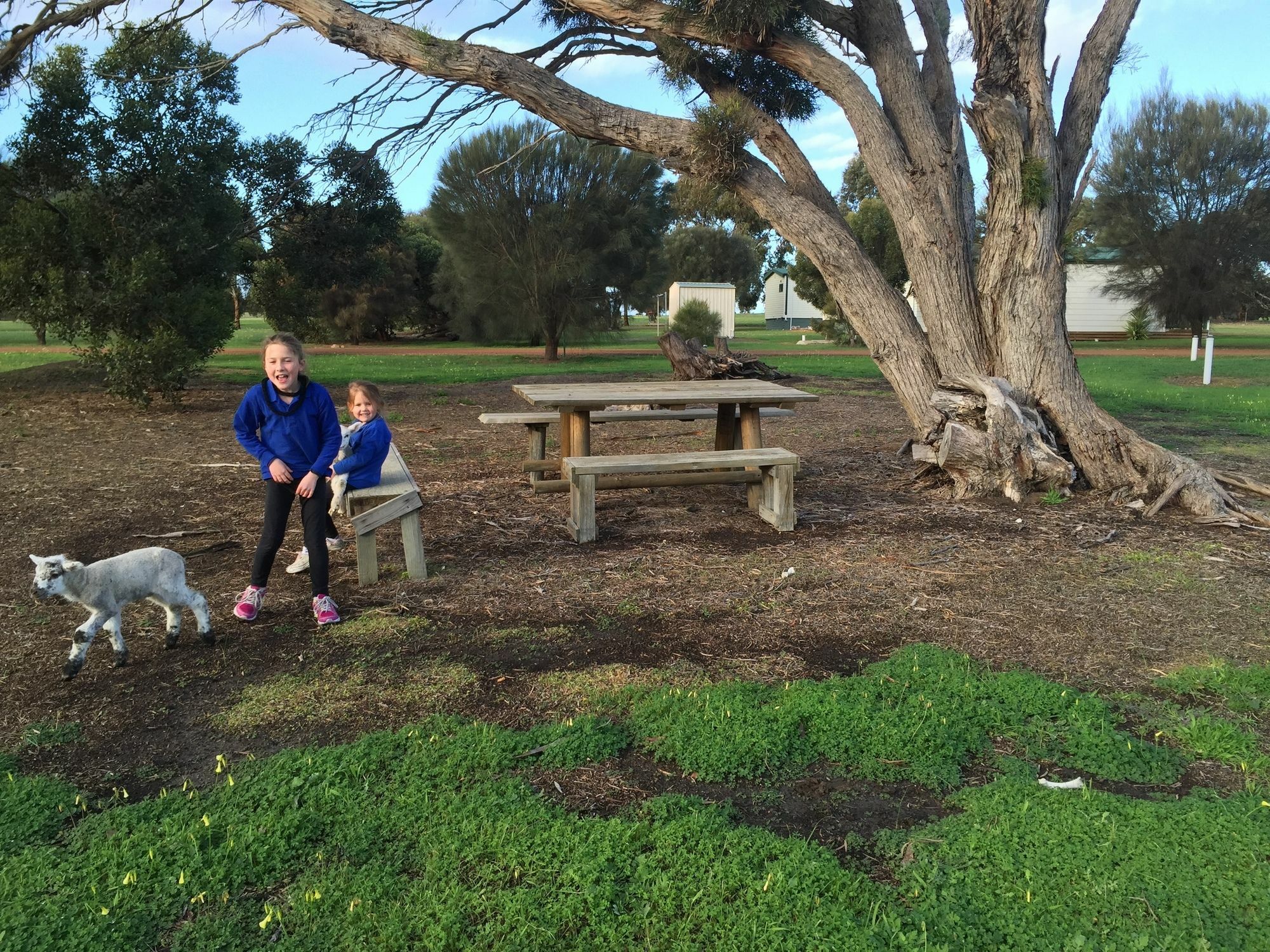 Kangaroo Island Cabins Kingscote Bagian luar foto